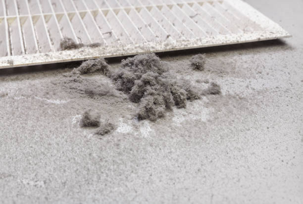 Best Duct Cleaning for Homes  in Elm Springs, AR