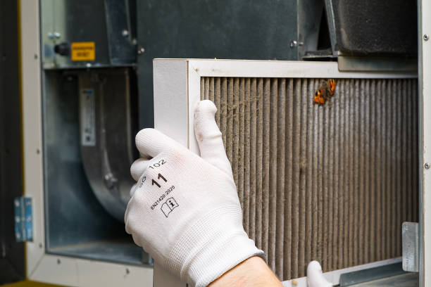 Best Commercial Air Duct Cleaning  in Elm Springs, AR