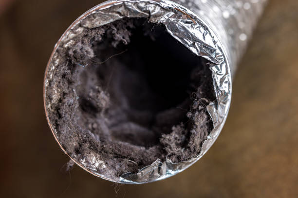 Best Air Duct Cleaning Near Me  in Elm Springs, AR