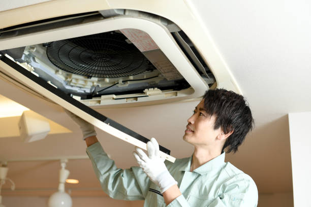Best Ductwork Cleaning Services  in Elm Springs, AR