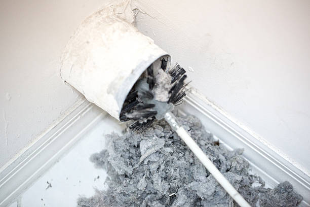 Best Air Duct Cleaning Company Near Me  in Elm Springs, AR
